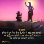 250+ Bhagavad Gita Quotes in Hindi | भगवत गीता के अनमोल वचन
