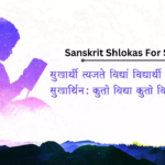 Hindi Meaning Sanskrit Shlokas for Success